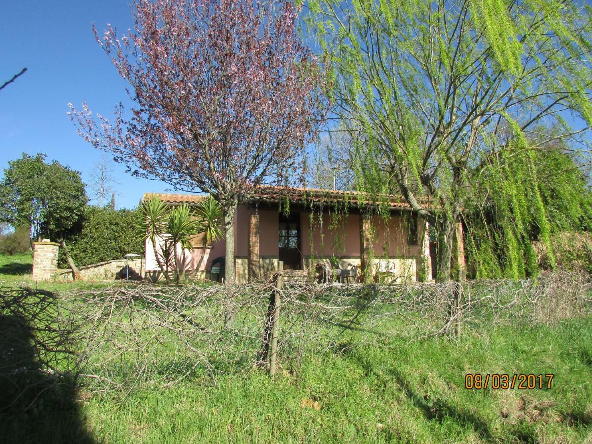 Гостьовий будинок Agriturismo Il Feudo Гроссето Екстер'єр фото