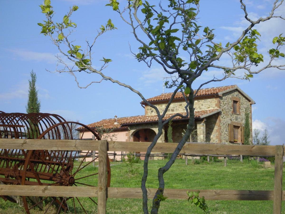 Гостьовий будинок Agriturismo Il Feudo Гроссето Екстер'єр фото
